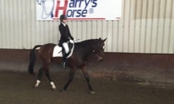 Lees meer over het artikel Wedstrijd op Manege Hillegom