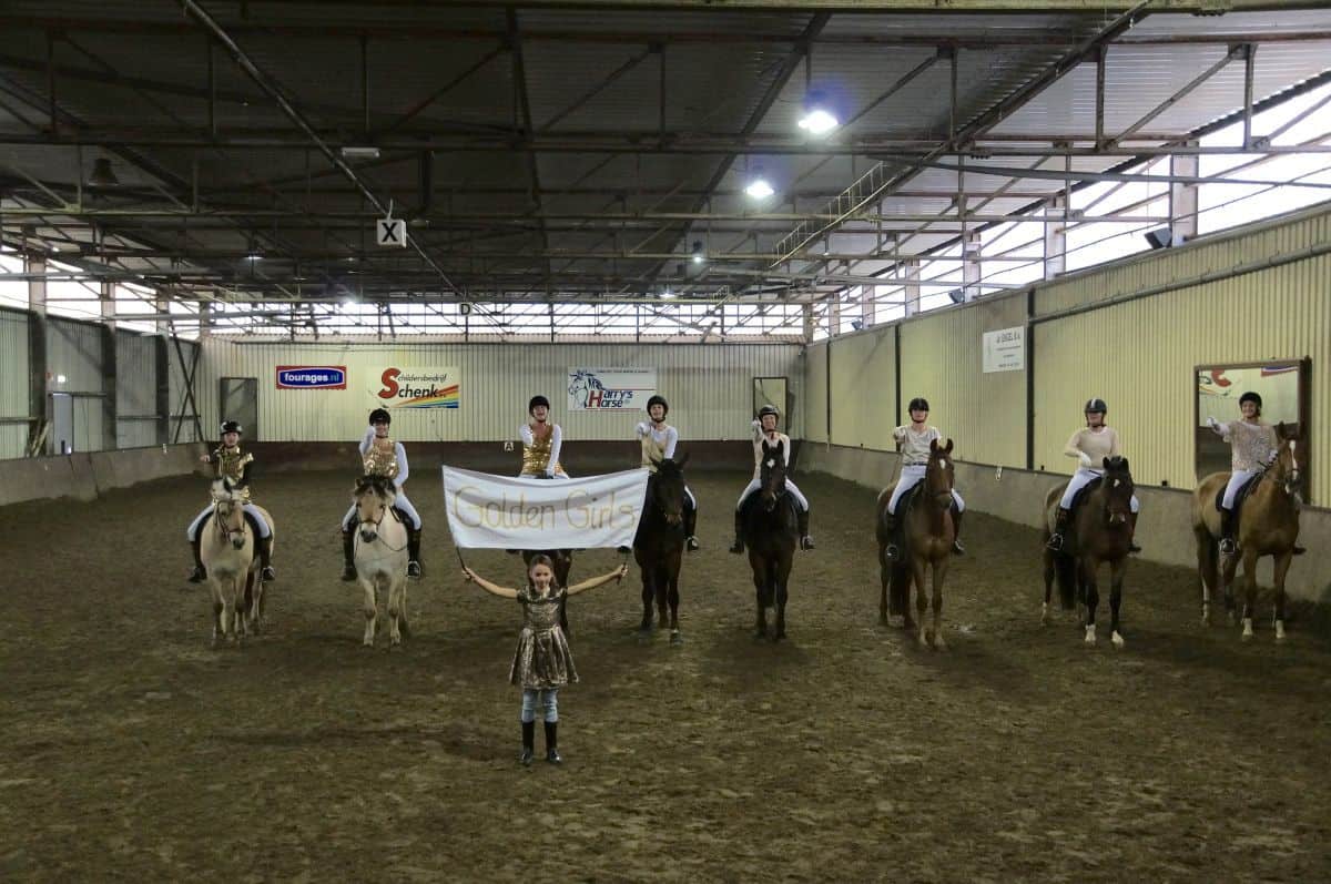 Je bekijkt nu Carrouselwedstrijd 14 februari 2016