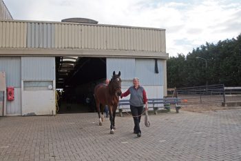manege hillegom