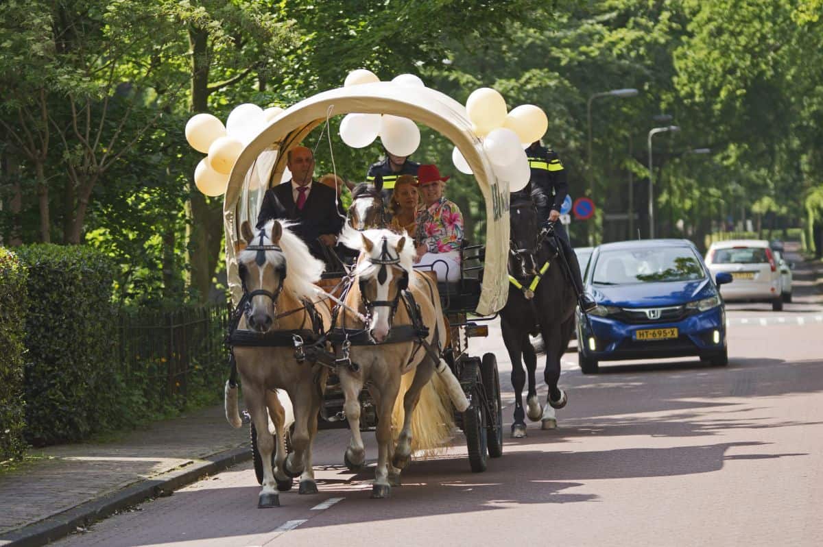Lees meer over het artikel Jip en Janneke brengen bruidspaar naar het raadhuis