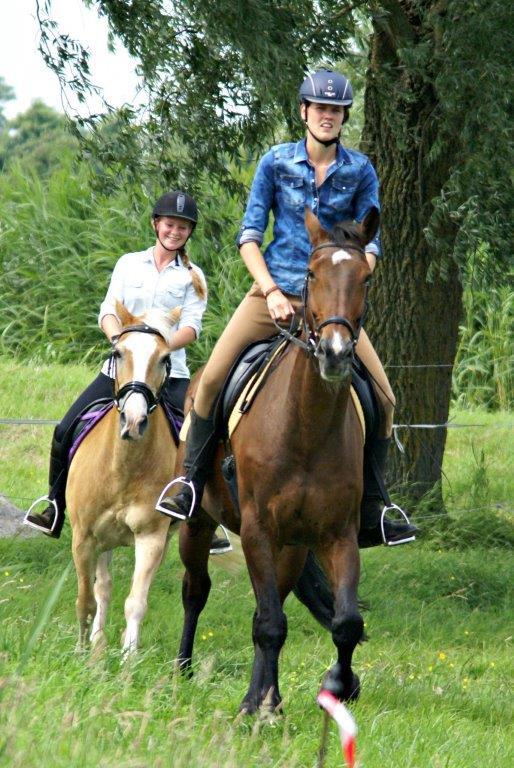Je bekijkt nu Cross wedstrijd