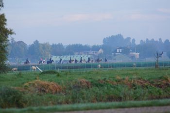 Lees meer over het artikel Leuke vakantie clinic’s