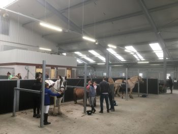 Lees meer over het artikel Gezellige wedstrijd in de klasse F2